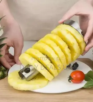 Handheld Pineapple Cutter