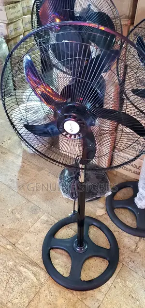 Stand Fan Dp/ Black