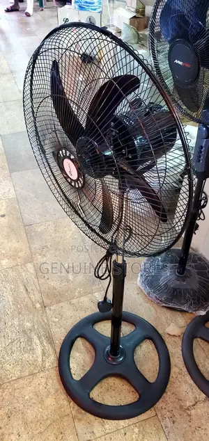 Stand Fan Dp/ Black
