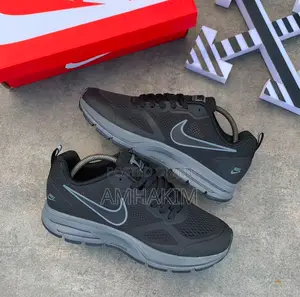 Classic Nike Pegasus Comfortable Runners in Stock