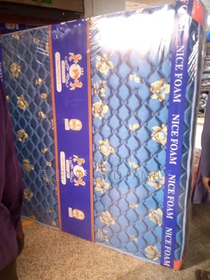 Nice Foam Mattress 6*5*8. Inches