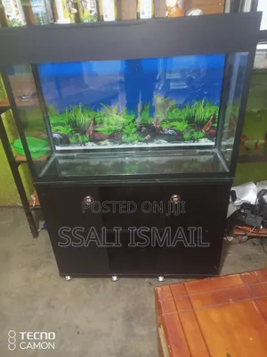Strong, Neat, Medium Size Aquarium