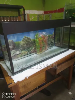 Only Glass Box for Aquarium