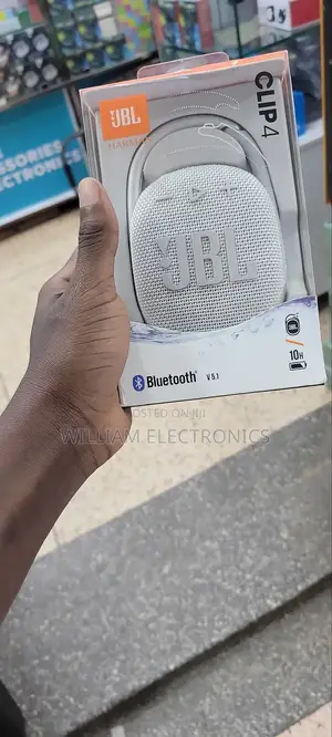 Oval Shaped JBL Speaker/Portable-Silver Clip4 Harman Speaker