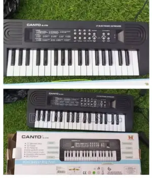 Electric Keyboard With Microphone