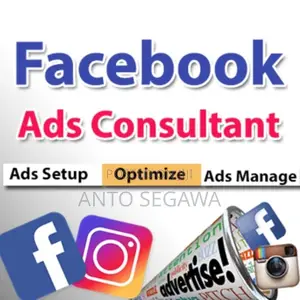 Facebook Ads Consultant