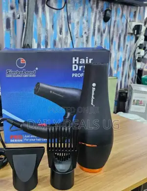 Professional Hair Dryer