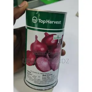 Red Creole Onion Seeds 250g
