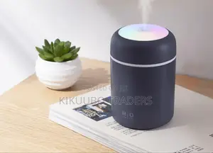 Portable Mini Humidifier
