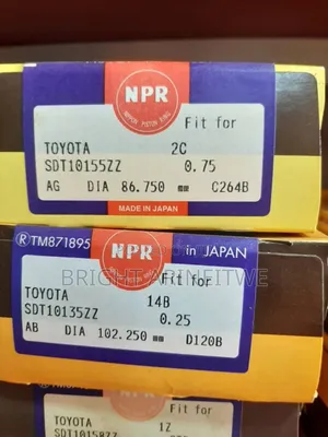 Piston and Piston Rings for All Saloon and SUV Cars.