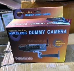 Wireless Motion Detector Dummy Camera
