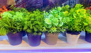 Artificial Flowers Pots