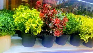 Artificial Flowers Pots