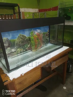 Ready for Set Up Black Aquarium