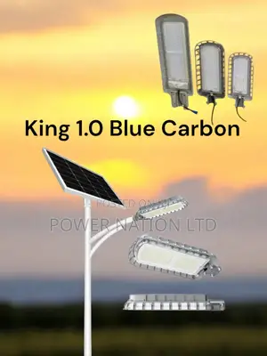 1.0/400w Blue Carbon King Solar Street Light Green Energy