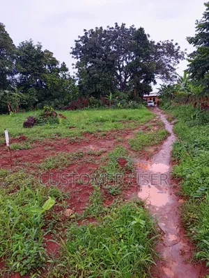New Estate Opened at 18m Kasanje Town