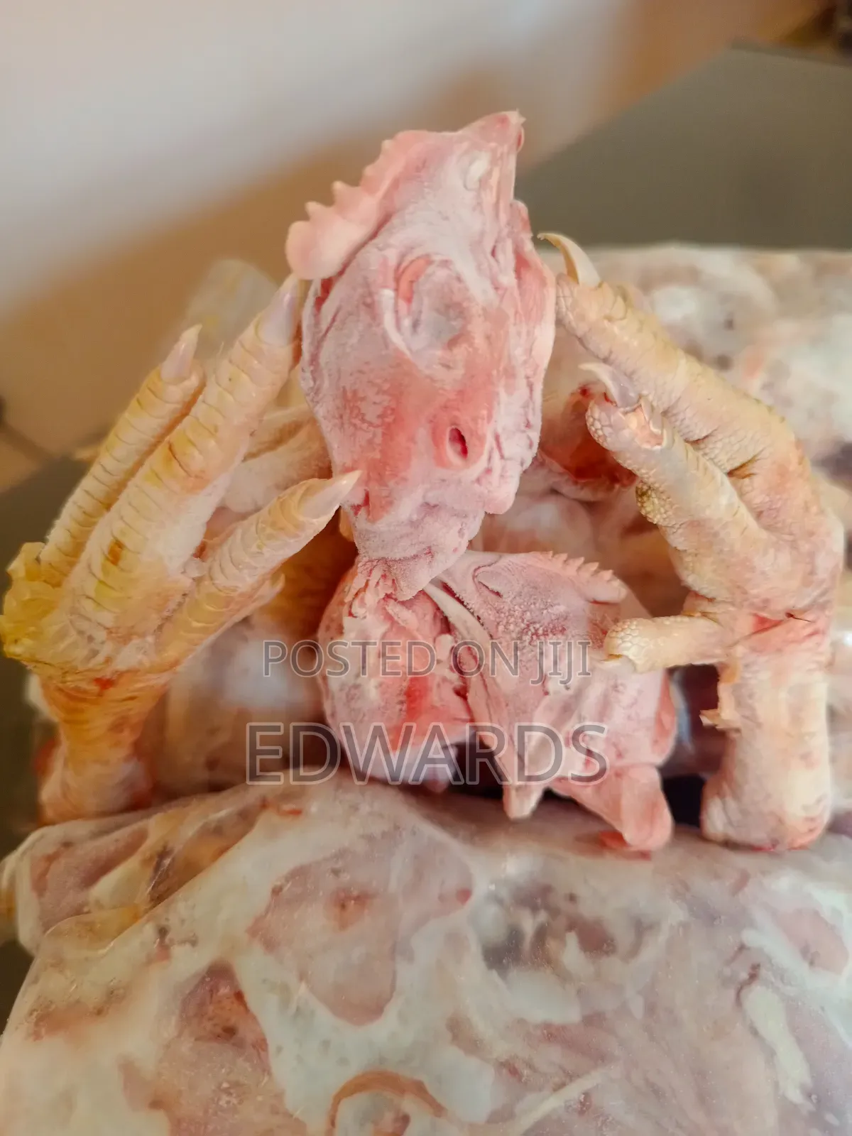 Head of Chicken