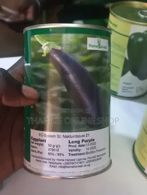 Long Purple Egg Plants Grow Seeds