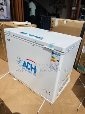 350L Adh Deep Freezer for Business