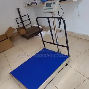 Electronic Bench Type Weigh Iron Cast Platform Weighing Scales 500kg