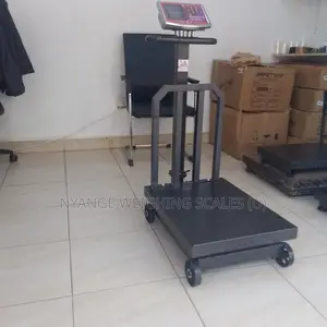 Electronic Platform Weighing Scales 600kg Weigh Digital Weighing Scale