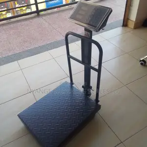 Accurate Weighing Scale Digital Weigh Platform Weighing Scale 350kg