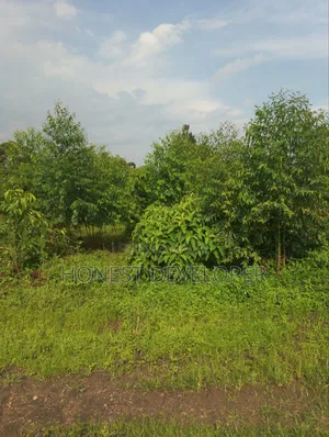 Land at Gobero Hoima Rd