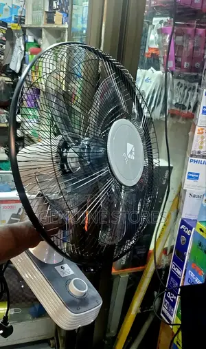 PTL Wall Fan