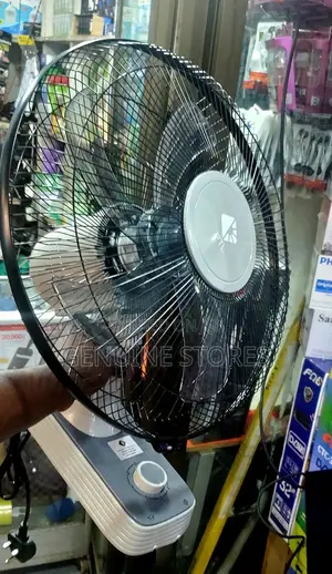 PTL Wall Fan