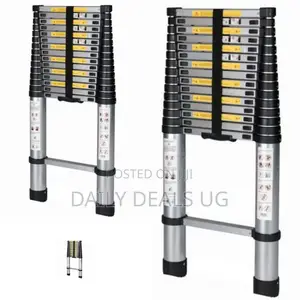 Aluminum Adjustable Ladder