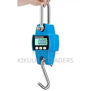 300kg Industrial Portable Hanging Scale