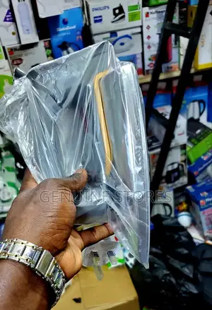 PTL Flat Iron/ Dry Iron