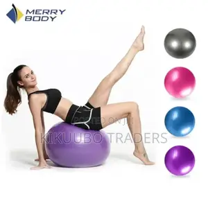Yoga Ball Gym Fitness Ball