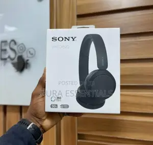 Sony WH-CH520