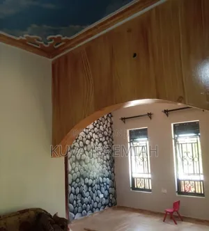 A Professional Painter