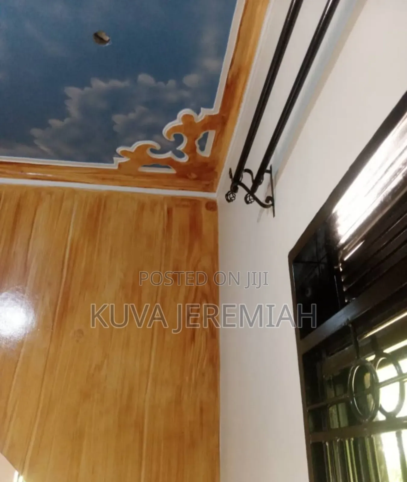 A Professional Painter