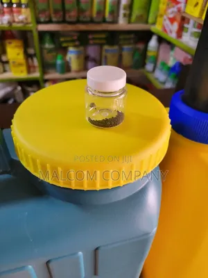 Dogs Killing Poison