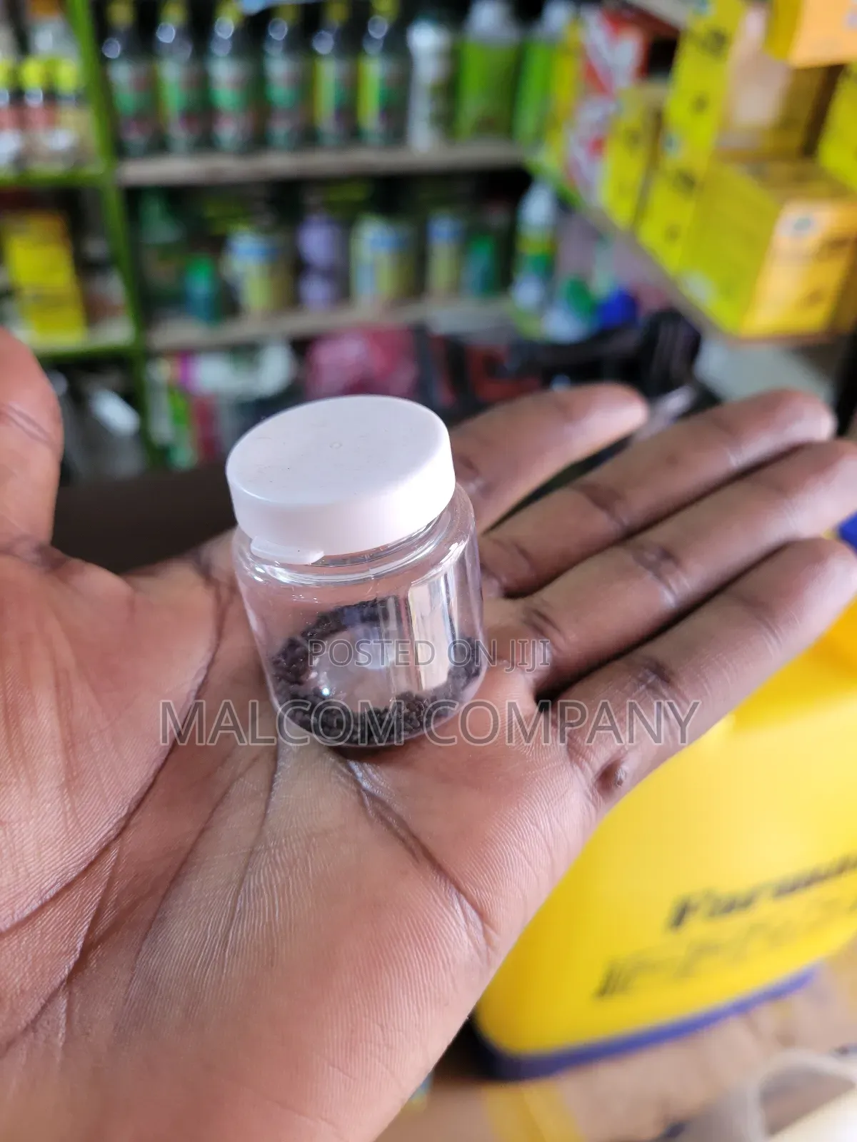 Cats Killing Poison