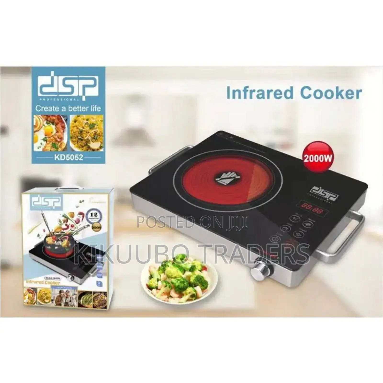DSP Infrared Single Cooker
