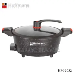 Multifunctional Micro Electric Pressure Cooker