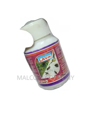 Lava for Cockroaches