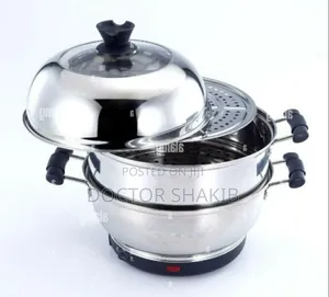 Unique Electric Food Steamer