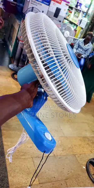 Kaile Wall Fan