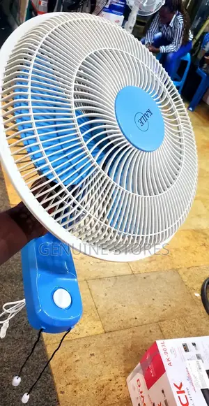 Kaile Wall Fan
