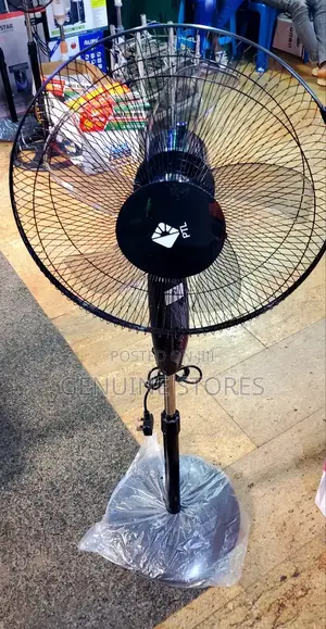 PTL Stand Fan
