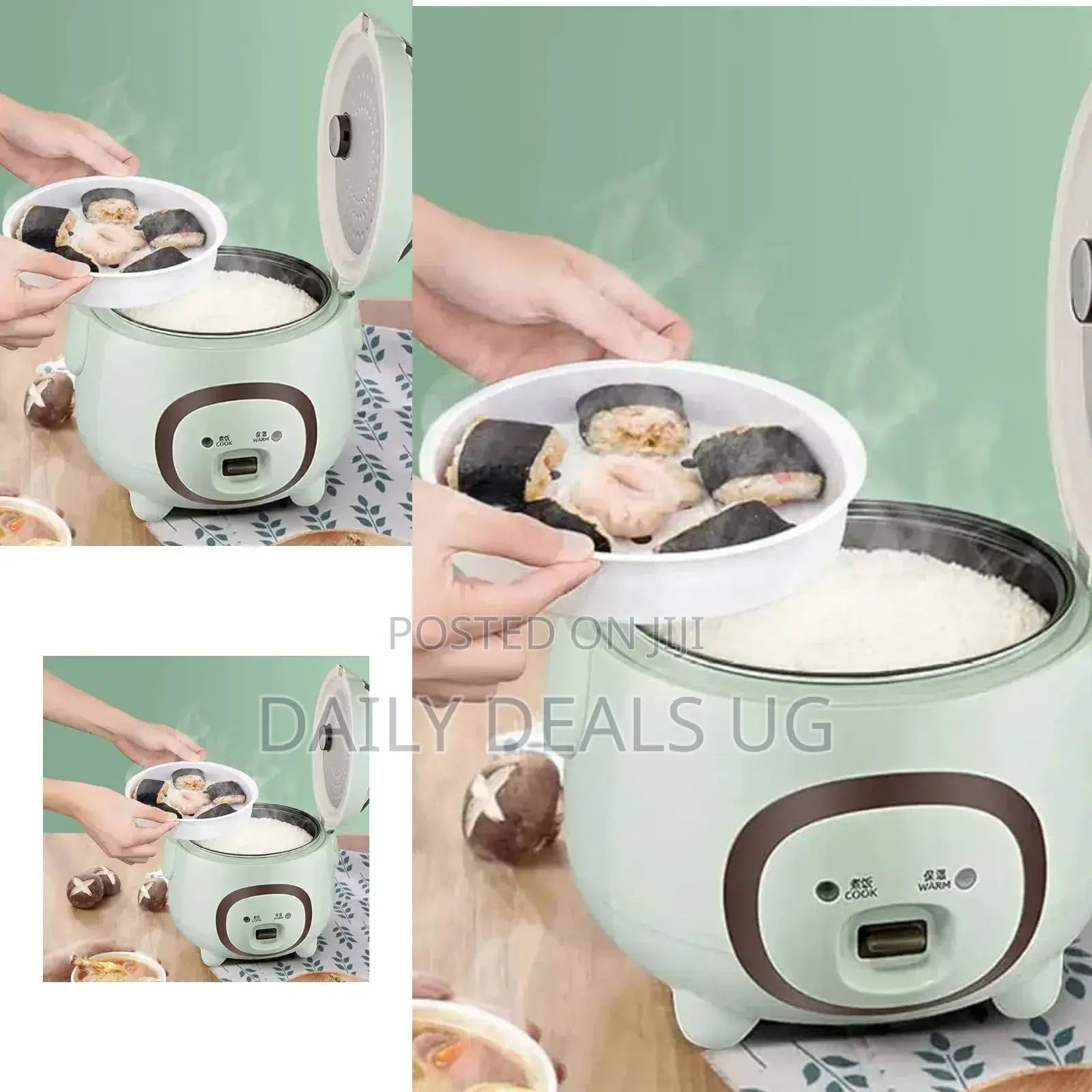 Electric Rice Cooker
