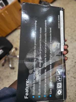 Professional Condeser Mic 