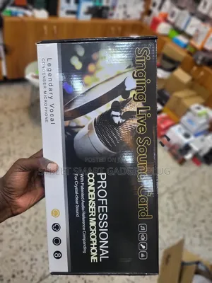 Professional Condeser Mic 