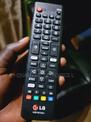 Lg Old Model Remotes for Tv With Silver Frame