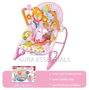 Unique Baby Rocker and Bouncer Chair
